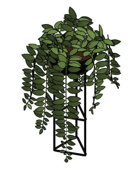 Ivy in Plant Stand