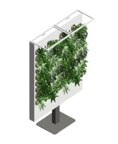 Oasis Duo Evergreen | families image