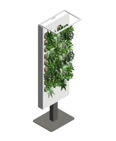 Oasis Evergreen | families image