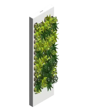 Taiga Max Tropical | families image