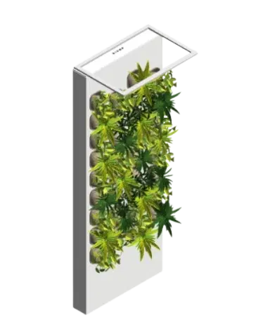 Taiga Tropical | families image