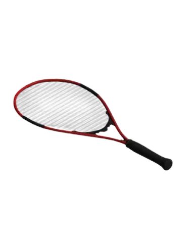 Raqueta de Tenis | families image