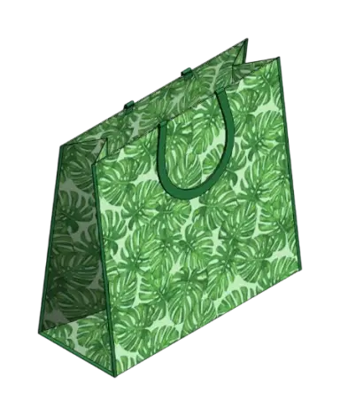 Bolsa Ecológica de Mercado | families image