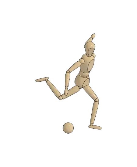 Athlete Mannequin