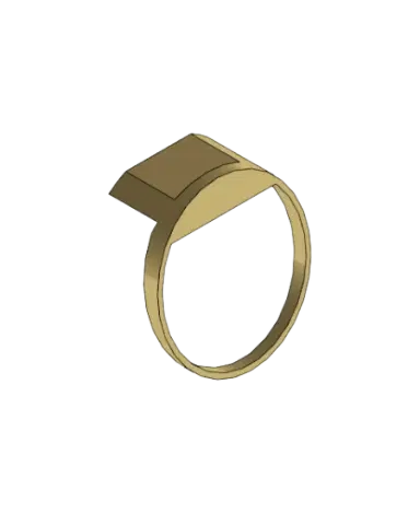 Ring Handle | families image