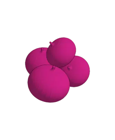 Onion | families image