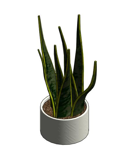 Ceramic Vase with Snake Plant