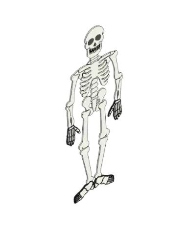 Halloween Skeleton | families image