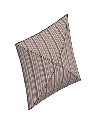 Capibaride Cushion | families image