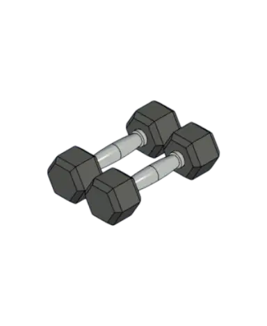Hex Dumbbell Set | families image