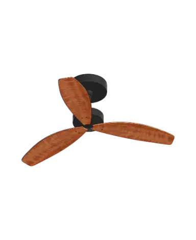 Cidade Fan | families image