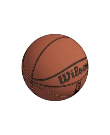 Basketball | families image