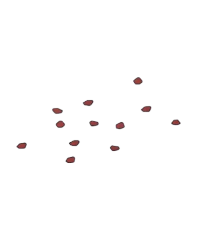 Pétalos de Rosa | families image